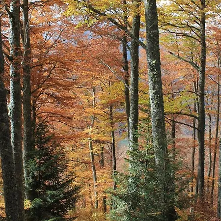 Con Jardin Casa Mendiluce * אל פואיו דה חאקה