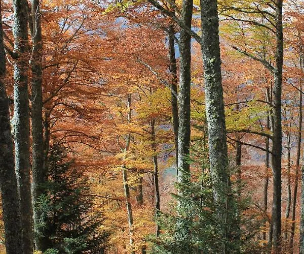 Con Jardin Casa Mendiluce * 엘프요데제카